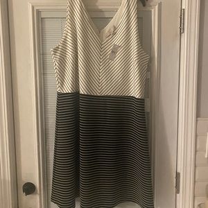 Loft Black and White Striped Dress